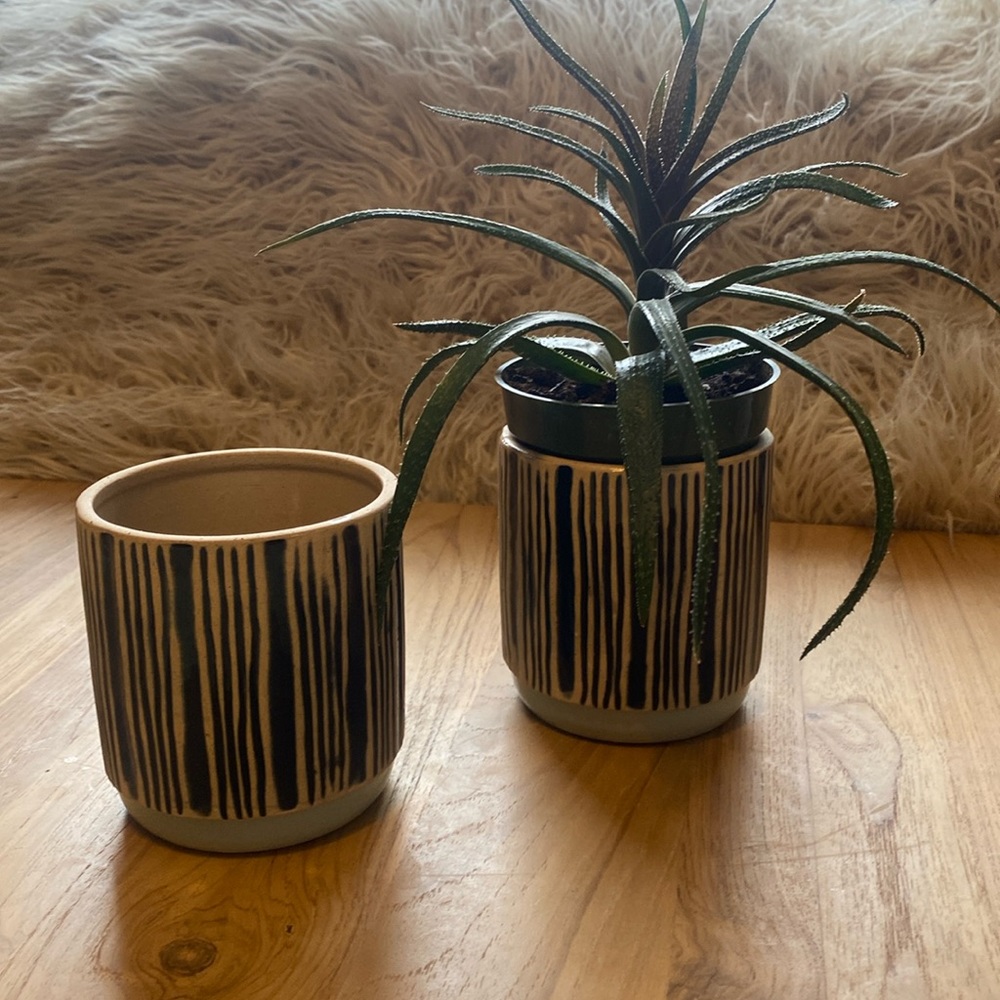 A pair of small planters from Michael’s